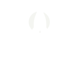 Feel Positive Coaching Holistic Relationship and Divorce Coach Logo